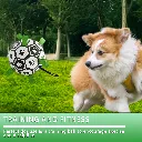 43_1929813791013605376.webp