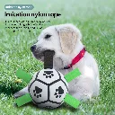 13_1929813745803202560.webp