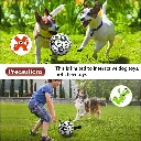 5_1929813737452343296.webp