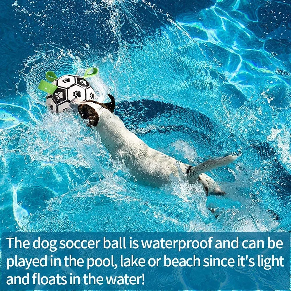 6_1929813737875968000.webp