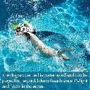 6_1929813737875968000.webp