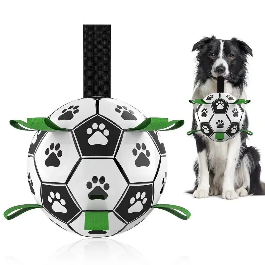 Interactive Dog Football