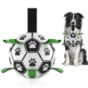 Interactive Dog Football